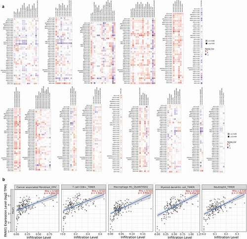 Figure 6. Association of PANX1 expression with immune infiltration. (a) Association of PANX1 expression with immune infiltration as determined using by different algorithms in TIMER 2.0. (b) PANX1 expression was strongly related to infiltration level of various immune cells in PAAD (r ≥ 0.5)