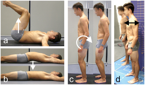 Figure 4. Exercises to improve body perception in the pelvic region. (a) Pelvis lift in a lying position: lifting the pelvis a few centimeters, (b) elimination of lumbar lordosis: drawing in the navel, (c) retroversion of the pelvis: turn the pelvis backwards like a wheel, (d) controlling pelvis and posture in a mirror.