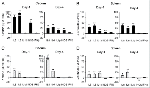 Figure 2. Effect of C. jejuni and S. Enteritidis colonization on cytokine mRNA levels. Transcript levels for the indicated cytokines were determined in cecal mucosa and spleen tissue isolated from individual birds at Day 1 and 4 after challenge with C. jejuni (panels A and B) or S. Enteritidis (panels C and D). RT-qPCR results were expressed as fold difference between the average mRNA levels in the indicated tissues of challenged chicken compared to (PBS-injected) control birds. Significant differences in ΔmRNA values were analyzed using log transformed data as described in Materials and Methods. Significant differences are indicated: **P < 0.005; *P < 0.05.