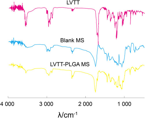 Figure 4 FTIR spectra of LVTT, blank MS and LVTT-PLGA MS.