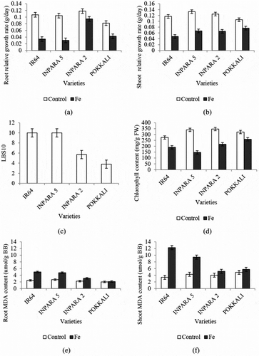 Figure 1. The effect of Fe toxicity stress on growth rate (a–b), leaf bronzing score (c), chlorophyll content (d), and malondialdehyde (MDA) (e–f) in four rice varieties. Bars represent standard error. Control = 0 ppm FeSO4.7H2O; Fe = 400 ppm FeSO4.7H2O.