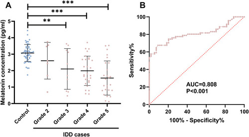 Figure 2 Decreased plasma melatonin in IDD cases. (A) A significantly decreased plasma melatonin was detected in the IDD cases in stage 3, 4 and 5. **P<0.01, ***P<0.001. (B) melatonin could be used as a diagnostic biomarker for IDD with an area under curve of 0.808 and P<0.001.