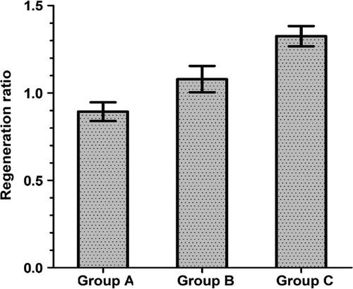 Figure 6. The regeneration ratio of the regenerated nerve crossing through the distal anastomosis in each group at postoperative month 3. The values for the sleeve suture group were significantly higher than those for the adventitial suture group (P < 0.01). Regeneration ratio = the number of nerve fibers in the distal anastomosis/the number of nerve fibers in the transplanted segment (n = 8). Group A: the in situ graft group; Group B: the adventitial suture group; Group C: the sleeve suture group.