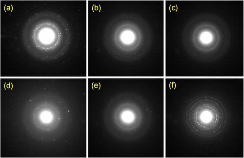 Figure 5. Selected-area electron diffraction (SAED) analysis (a) PP-CuO-1, (b) PP-CuO-2, (c) PP-CuO-3, (d) GL-CuO-1, (e) GL-CuO-2, and (f) GL-CuO-3.