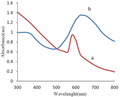 Figure 2. UV-Vis spectra of CuNPs synthesized by F. macrocolea flowers extract (a) Aqueous suspension, (b) Liquid ammonia suspension.