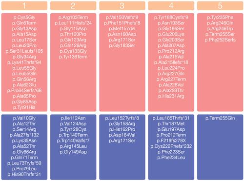 Figure 1 Allelic variants in the SRD5A2 related to 5α-reductase type 2 deficiency. The SRD5A2 exons are defined from 1 to 5. Variants in homozygous are in the pinkish-red boxes. Variants reported only as compound heterozygous are in the blue boxes.Note: *It indicates the position of the premature stop codon.