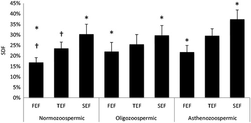 Figure 1. Sperm DNA fragmentation. The levels of sperm DNA fragmentation (SDF) were measured by the sperm chromatin decondensation (SCD) assay. The first ejaculate fraction (FEF), total ejaculate fraction (TEF), and second ejaculate fraction (SEF), in normozoospermic, oligozoospermic, and asthenozoospermic patients were compared. SDF presents a similar distribution in all groups, with lower levels in FEF as compared to both SEF and TEF. †p < 0.05; *p < 0.05.