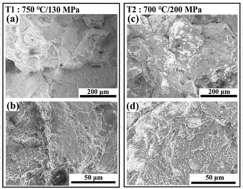 Figure 8. SEM images showing the fracture morphology of the alloy under the creep conditions of (a, b) 750°C/130 MPa and (c, d) 700°C/200 MPa.
