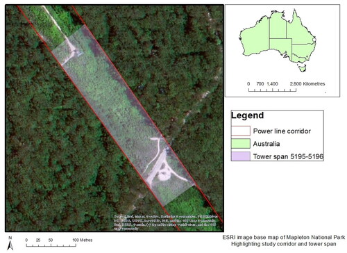 Figure 2. Map showing the location of the tower spans within the power line corridor, Mapleton Falls National Park, Queensland, Australia.