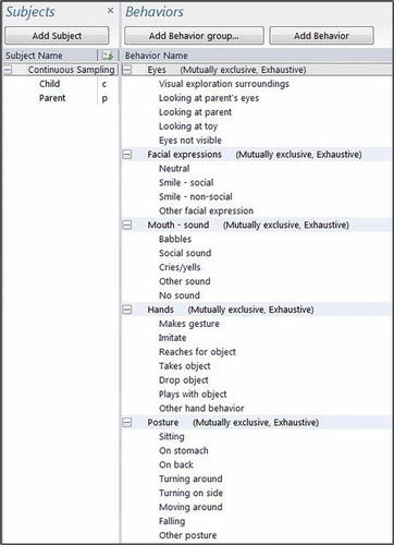 Figure 1. The Coding Schedule of Videod.docx.