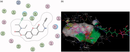 Figure 5. (a) 2D interaction map showing compound 7’s orientation and binding in MAO-A’s substrate cavity. (b) 3D docking simulation showing 2 indicated in pink within the MAO-A active site.