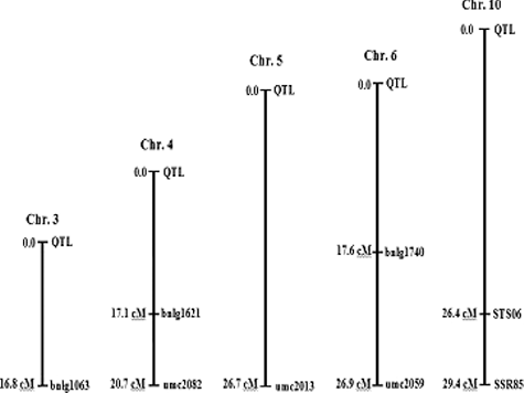 Figure 9. SSR markers (bnlg1063, umc2082, bnlg1621, umc2013, bnlg1740, umc2059 and SSR85), STS marker (STS06) and QTL for Fusarium ear rot resistance genes were located through the MAPMAKER QTL analysis. All distances are given in centi-Morgan, using Kosambi's mapping function.