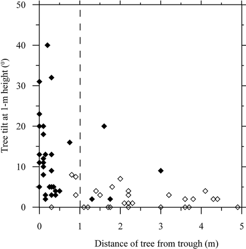 FIGURE 8. Tree to ice-wedge trough distance and angle of tree lean, Sites 1 to 4, eastern Mackenzie Delta. Shaded diamonds (♦) indicate that tree lean is towards the ice-wedge trough and open diamonds (⋄) indicate no lean or lean away from the ice-wedge trough