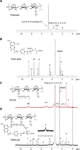 Figure 3 1H NMR spectra of various agents.Notes: 1H NMR spectra of chitosan in CCl3COOD/D2O (A); folic acid in DMSO (B); PLCS in DMSO (C); and FAPLCS in DMSO (D).Abbreviations: PLCS, N-palmitoyl chitosan; FAPLCS, folate-conjugated N-palmitoyl chitosan; NMR, nuclear magnetic resonance; DMSO, dimethyl sulfoxide.