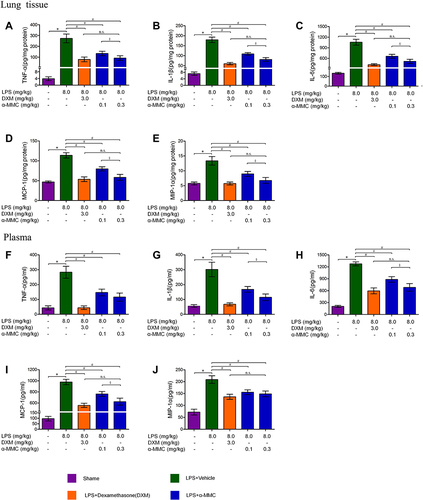 Figure 5 The expression levels of the inflammatory cytokines TNF-α, IL-1β, IL-6, MIP-1α and MCP-1 in lung tissues and plasma. (A–E) TNF-α, IL-1β, IL-6, MIP-1α and MCP-1 levels in lung tissues; (F–J) TNF-α, IL-1β, IL-6, MIP-1α and MCP-1 levels in plasma. The data shown are individual values with the mean ± SEM; n = 8. *P < 0.05 significantly different from the sham group; #P < 0.05 significantly different from the LPS-induced model group; §P < 0.05 significantly different from the control group; n.s. No significant difference from the control group. One-way analysis of variance, Tukey’s multiple comparison tests.