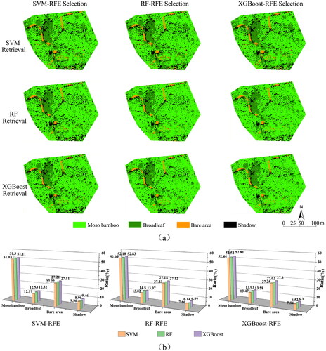 Figure 9. Comprehensive prediction results of Moso bamboo of nine models. (a) Prediction results of Moso bamboo forest information distribution based on nine models; (b) The ratio of area occupied by each surface features of the nine models.