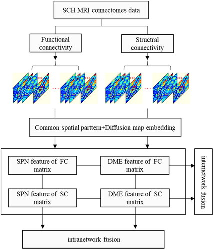 Figure 1. Procedures for SCH recognition based on multidimensional spatial feature fusion.