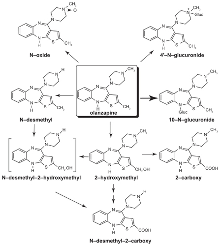 Figure 1 Metabolism of olanzapine. The chemical structure and metabolism of olanzapine are shown. Copyright © 1997. Modified with permission from Kassahun K, Mattiuz E, Nyhart E Jr, et al. Disposition and biotransformation of the antipsychotic agent olanzapine in humans. Drug Metab Dispos. 1997;25(1):81–93.Citation77