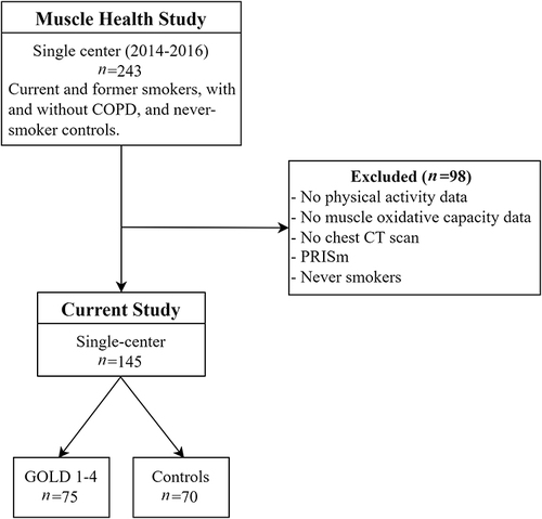 Figure 1 Consort diagram of participants recruited into the Muscle Health Study and allocated to the current analysis.