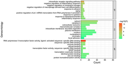 Figure 4. Gene ontology enrichment analysis of the anti-gouty arthritis targets of Qin Jiao.