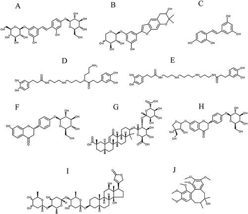 Figure 1 Chemical structures of mulberroside A (A), mulberroside C (B), oxyresveratrol (C), kukoaMine B (D), kukoaMine A (E), liquiritin (F), glycyrrhizic acid ammonium salt (G), liquiritin apioside (H), digoxin (I) (internal standard), schisandrin (J) (internal standard).