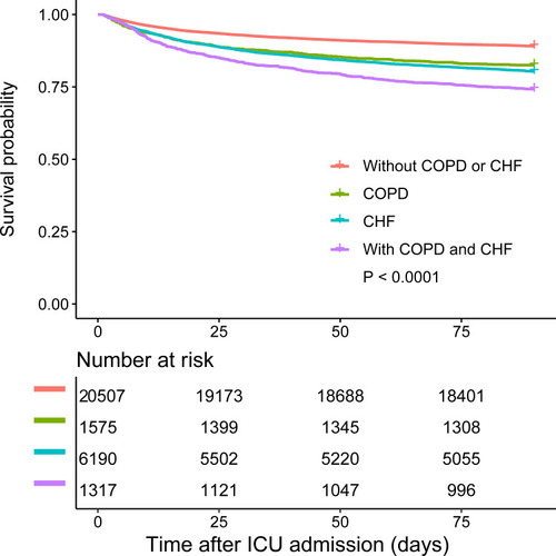 Figure 2 Kaplan–Meier curves for survival after ICU admission.