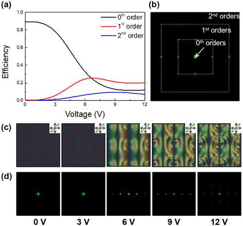 Figure 2. Calculated (a) voltage-dependent diffraction efficiency and (b) condition for each diffraction order. (c) Polarized optical microscopy (POM) images of the proposed device with crossed polarizers and full-wave plate. (d) Diffraction pattern of the proposed device at different applied voltages from 0 to 12 V.