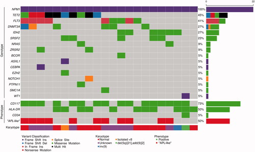 Figure 1. AML-associated mutations, immunophenotypic characteristics and karyotype of 22 NPM1-mutated AML patients. Each column represents a single patient. ‘APL-like’, ‘Acute promyelocytic leukemia’-like phenotype i.e. CD34-/HLA-DR-. Five patients displayed two different TET2 mutations and one patient two different BCOR mutations.