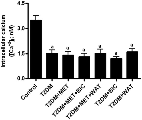 Figure 1. The effect of metformin in presence/absence of bicuculline or wortmannin on T2DM-induced changes in the level of hepatic intracellular calcium. All values are mean ± SEM (n = 6). ap < 0.05 compared to control, bp < 0.05 compared to T2DM, cp < 0.05 compared to T2DM + MET dp < 0.05 compared to T2DM + MET + BIC and ep < 0.05 compared to T2DM + MET + WAT (one-way ANOVA followed by Student–Newman–Keuls test).