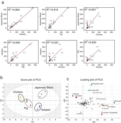 Figure 2. Comparison of detected metabolites between meats.(a) Scatter plot shows the mean peak intensity of metabolites as indicated by GC/MS (each type of livestock, n = 3). The R2 values indicate the degree of correlation. Numbers in A and C indicate the following compounds: 1, mannose; 2, phospholic acid; 3, fructose 1-phosphate; 4, allose; 5, lactic acid; 6, urea; 7, glycine; 8, inositol. (b) PCA score plot demonstrating the correlation in metabolites between livestock species (Scaling, Pareto variance). The PCA model was analyzed using fitting parameters (Components, 4; R2 [cum] = 0.960; Q2 [cum] = 0.868). (c) The loading plot demonstrates the relationship between metabolite attributes and the PCA plot.