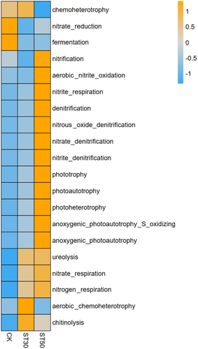 Figure 5. Prediction of FAPROTAX microbial functions in soil samples under different tillage conditions.