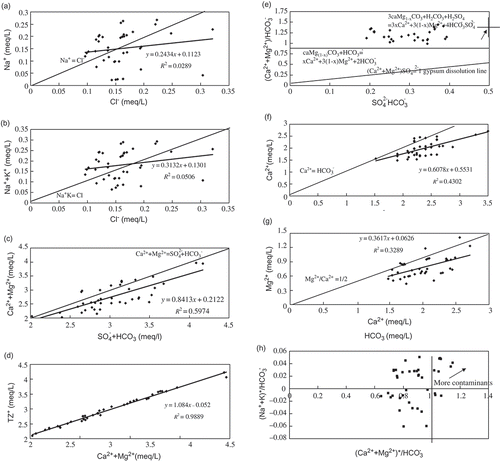 Fig. 4 Scatter plots of: (a) Na versus Cl, (b) Na+K versus Cl, (c) Ca + Mg versus SO4 + HCO3, (d) Tz+ versus Ca + Mg, (e) (Ca+Mg)/HCO3 versus SO4/HCO3, (f) Ca versus HCO3, (g) Mg versus Ca, and (h) (Na+K)*/HCO3 versus (Ca+Mg)*/HCO3 in the Danjiangkou Reservoir, China.