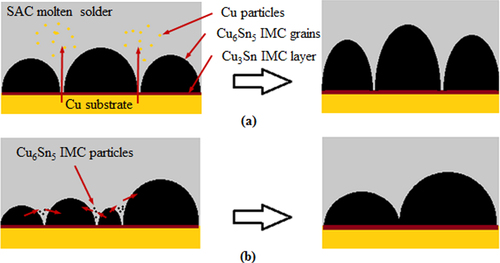 Figure 3. Schematics of (a) grain thickening and (b) grain coarsening.