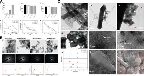 Figure 3 The ion release assay of Si/Ca(Sr)-NCF mats and the long-term crystallization. (A) (a–c) Sr, Ca, and Si ion entrapments and (d–f) nun-cumulative release of ions at day 0–3, day 4–6 and day 7–9. (B) (a–d) TEM images of the released liquid, (e–h) SAED patterns of the particles in different groups (red circles indicating the 50 nm sized particles) and (i–l) EDS results of the nanoparticles of different groups. (C) Crystallization after aging for 7 days of the liquid released from Si/Ca(Sr)-NCF mats. (a–d) TEM images of the crystals and the residual co-precipitation particles. (c and d) The shedding silica skin during the crystallization procedure (red arrows). (e and f) Lattice spacing analyses of the crystals of the aged releasing liquid. (g) XRD patterns of the Si/Ca(Sr)-NCF mats’ leaching liquid. (h and i) SEM images of the crystals. The red membranes indicated the sheded silica wrapping the crystals and NPs.