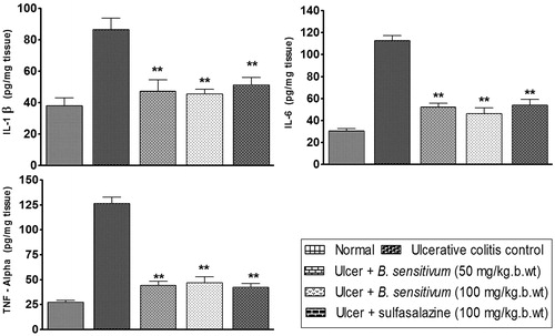 Figure 5. Effect of B. sensitivum (50 and 100 mg/kg b wt) and sulfasalazine (100 mg/kg b wt) on colonic tumor necrosis factor-alpha (TNF-α), interleukin-1beta (IL-1β), and interleukin-6 (IL-6) level of rats with acetic acid-induced ulcerative colitis. Treatments were administered once daily for 5 consecutive days before induction of colitis. Values shown are mean ± SD. Values were significantly different from ulcerative colitis (no-drug-treated) control (**p < 0.01).