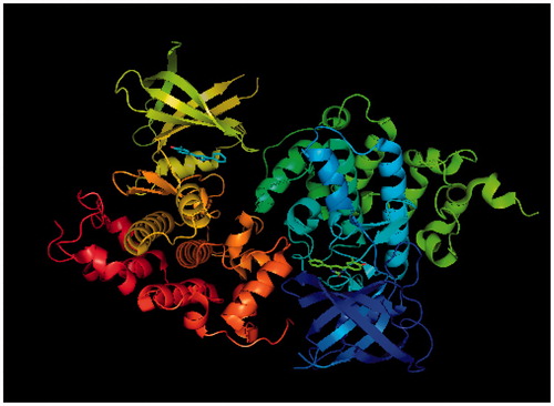 Figure 2. Glycogen synthase kinase-3 beta receptor, PDB Entry ID: 3Q3B, obtained from RCBS Protein data bank.