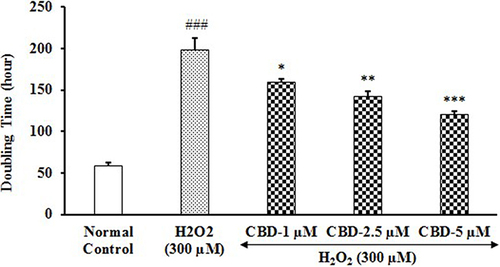 Figure 3 Evaluation of cellular senescence in terms of doubling time after administration of cannabidiol (CBD) in human lungs fibroblasts (WI-38) cell line. Values are shown as mean ± SEM with three replicates. The error bars represent the standard error of each mean. ###p≤0.001 vs normal control group; *p≤0.05, **p≤0.01, and ***p≤0.001 vs vehicle control group (H2O2) using One-way ANOVA followed by Tukey’s post-hoc test.