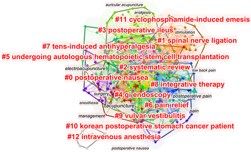 Figure 9 Cluster map of keywords co-occurrence on acupuncture therapy for postoperative pain.