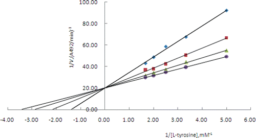 Figure 5.  Lineweaver-Burk plot of mushroom tyrosinase and l-tyrosine without (•) and with 0.16 mM (▴), 0.33 mM (▪), and 0.66 mM (♦) of methyl p-hydroxy benzoate (2).