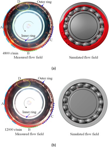 Figure 7. The measured and calculated results of the visual flow field at different speeds (a) The speed is 4800 r/min. (b) The speed is 12000 r/min.