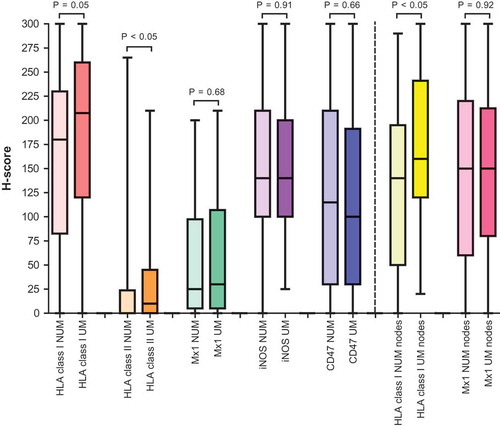 Figure 2. H-scores for intratumoral expression of HLA class I, HLA class II, Mx1, iNOS and CD47 in the primary melanoma cohort and of HLA class I and Mx1 in the lymph node cohort.Legend: the colored bars represent the median H-score (middle line) with interquartile range (two outer lines of the colored bar). The horizontal line endings represent the range of the H-score.NUM, non-ulcerated melanomas; UM, ulcerated melanomas