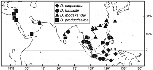 Figure 5. Distributional records of Dussumieria elopsoides (diamonds), D. hasseltii (circles), D. productissima (squares), and D. modakandai (triangles), based on specimens examined in this study.