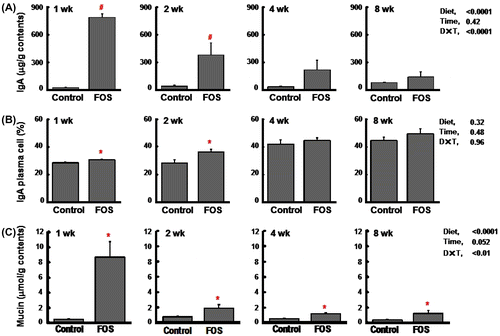 Fig. 2. Cecal immunoglobulin A (IgA) concentrations (per g wet cecal contents) (A), the percentage of IgA plasma cells (B), and cecal mucin concentrations (per g wet cecal contents) (C) in rats fed the control diet or a diet containing FOS at 60 g/kg diet for 1, 2, 4, or 8 wk (expt 1).Notes: Data are expressed as the mean ± SE, n = 6. Split plot design ANOVA was used to assess the effects of diet, time of exposure, and interactions between diet and time. Individual means at each time point were compared by Student-t test (*p < 0.05) or Welch’s-t test (#p < 0.05) to assess the effects of diet.