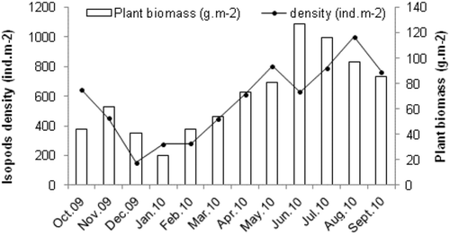 Figure 2. Relationship between isopod density and plant biomass at Menzel Jemil.