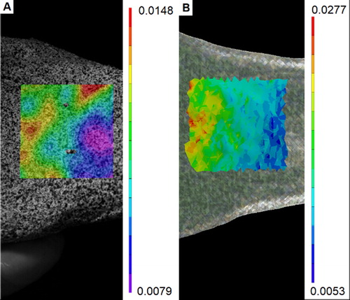 Figure 2. Comparison between experimental (A) and computational (B, Eq. (1)) strain distribution in a non-fracture zone.