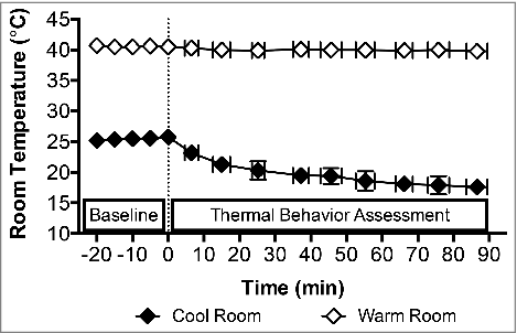 Figure 1. Temperature dynamics of the cool and warm rooms. Baseline measurements were taken at 0 min in the cool room after 20 min seated rest in a 25.5 ± 0.7°C (24 ± 6% relative humidity) environment. After the Baseline period, the cool room was set to 17.6 ± 1.2°C (36 ± 12% relative humidity) and the 90 min behavioral assessment commenced (dashed line) in the midst of this progressive room cooling. The warm room was maintained at 40.0 ± 0.6°C (20 ± 0% relative humidity) throughout, while the average temperature in the cool room during the thermal behavioral assessment was 18.1 ± 1.8°C (29 ± 5% relative humidity). Mean ± SD, n = 18 (Younger: n = 12, ‘At Risk’: n = 6).