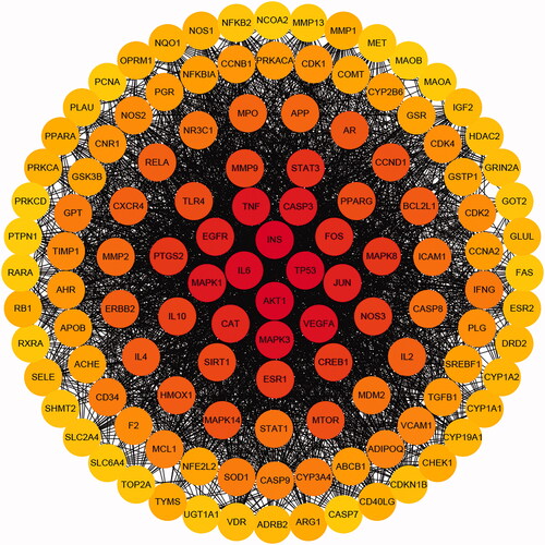 Figure 7. PPI network. The darker the colour, the greater the degree.