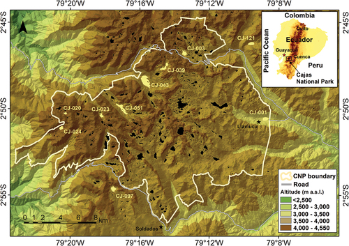 Figure 1. Site map showing the positions of the study lakes, relative to the administrative boundary of the Cajas National Park (CNP), which is located near Cuenca city, Ecuador. Black polygons depict other non-sampled lakes that belong to the CNP lake system.