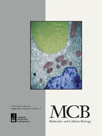 Cover image for Molecular and Cellular Biology, Volume 36, Issue 15, 2016