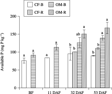 Figure 3  Available P in bulk soil (B) and rhizosphere soil (R) in the chemical fertilizer plot (CF) and organic matter plot (OM). Data are mean ± standard error (n = 2). BF, before fertilization; DAF, days after fertilization. Different letters indicate significant differences (P < 0.05).